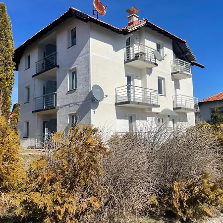 Kovacevic 兹拉蒂博尔